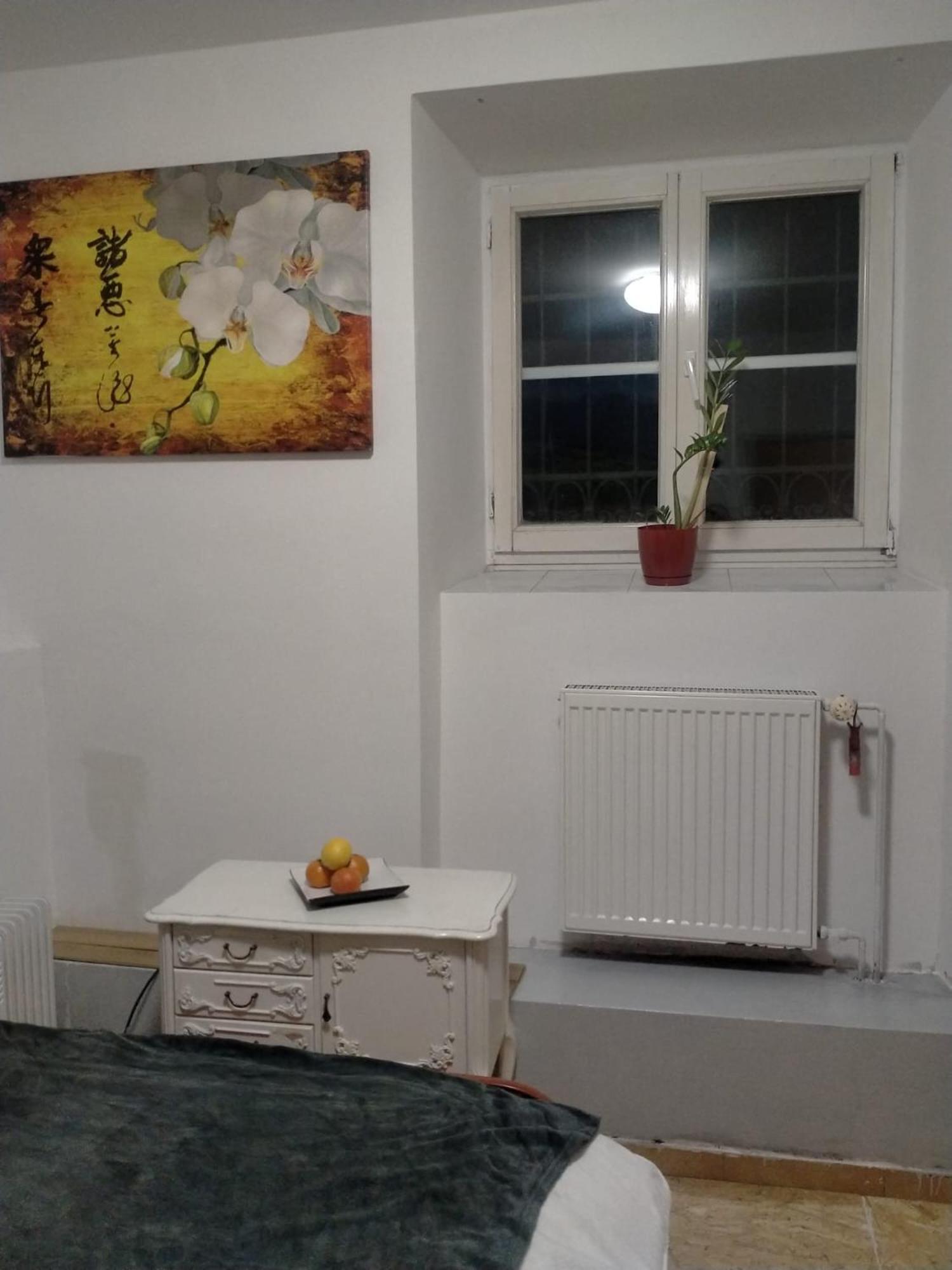 Lemon Tree Hostel Krakow Exterior photo